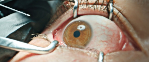 Forbidden Floor - The Home Blu-ray | PLAION PICTURES