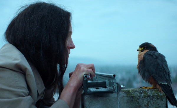 Chaos und Stille DVD | NEUE VISIONEN