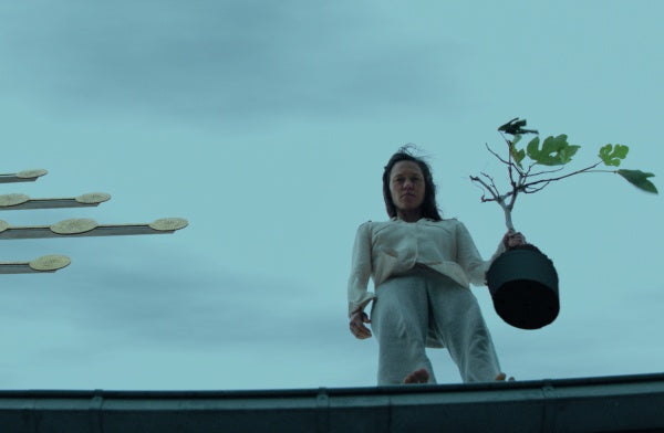 Chaos und Stille DVD | NEUE VISIONEN